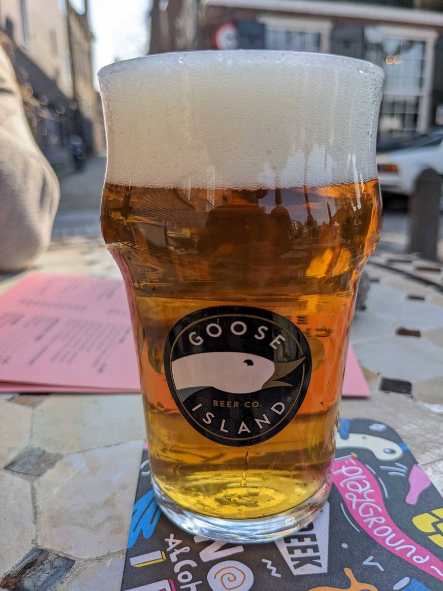 Picture of Goose IPA