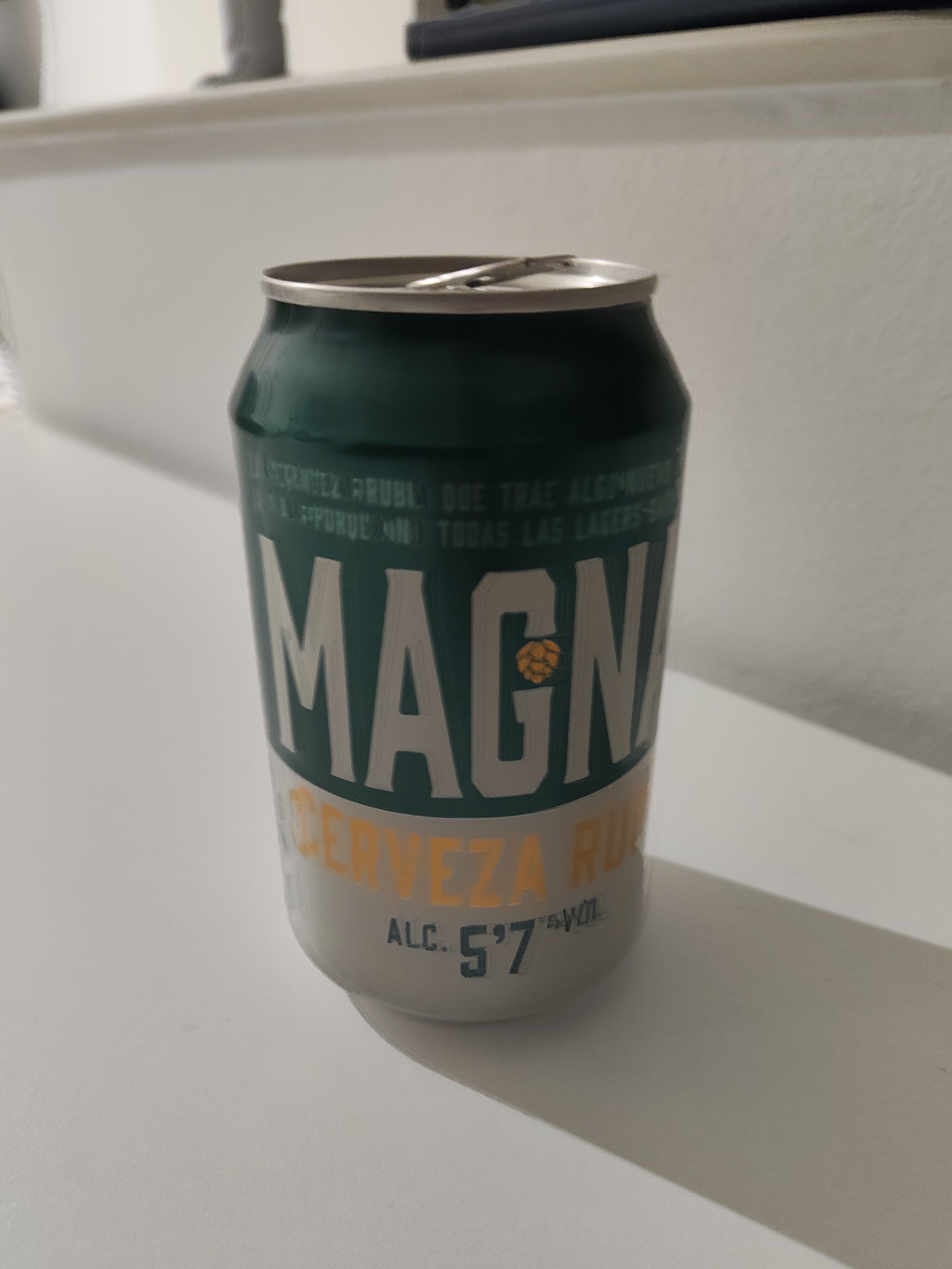 Picture of San Miguel Magna